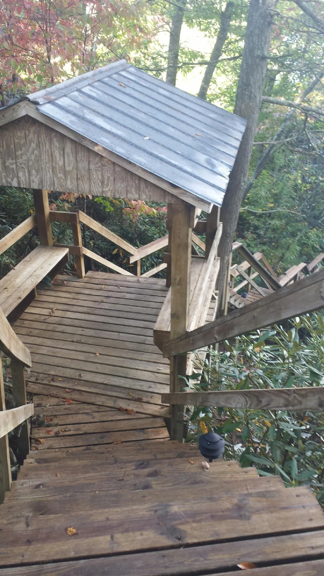 Metal roofed shelter over wooden steps on a wooded walkway — Skylight Repair & Installation work by our crew in Waveland